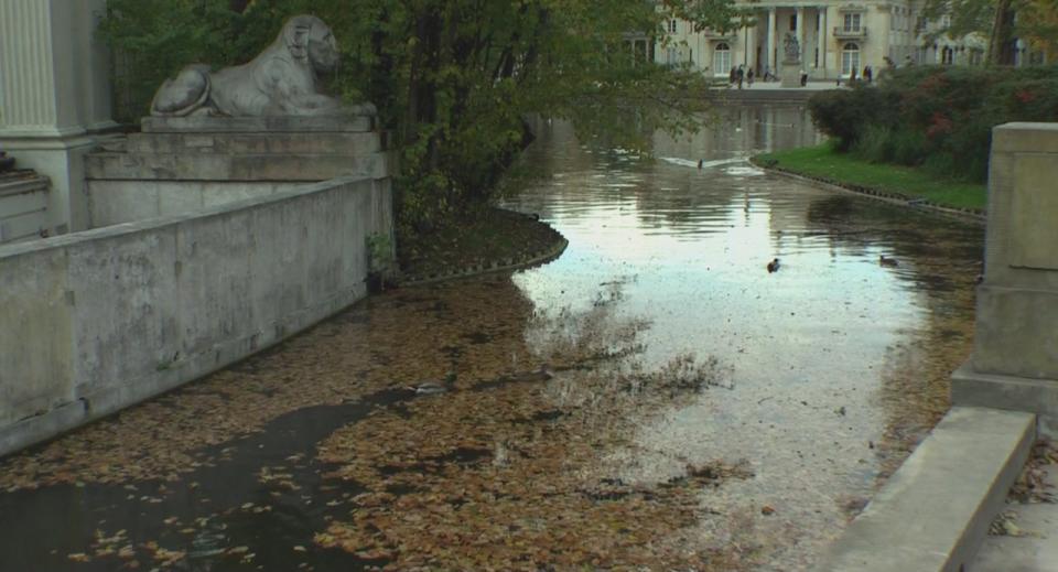 LAZIENKI Park HDV 1080i[(007029)23-34-30].JPG