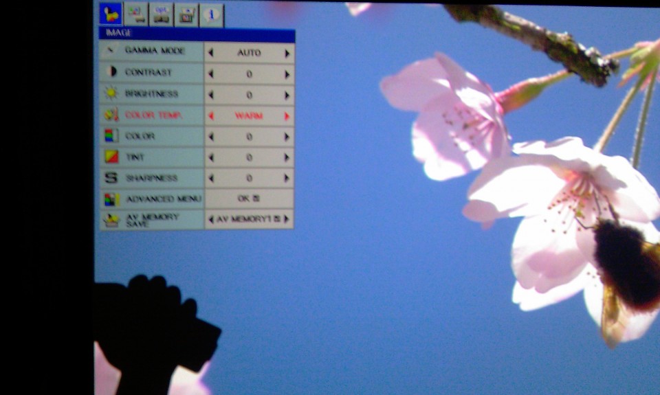 IMAG0712.jpg