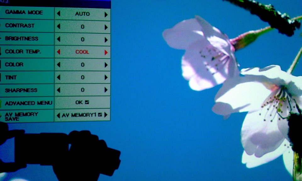 IMAG0710.jpg