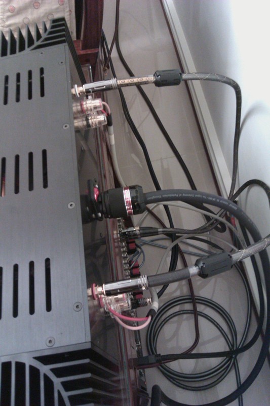 IMAG0215.jpg