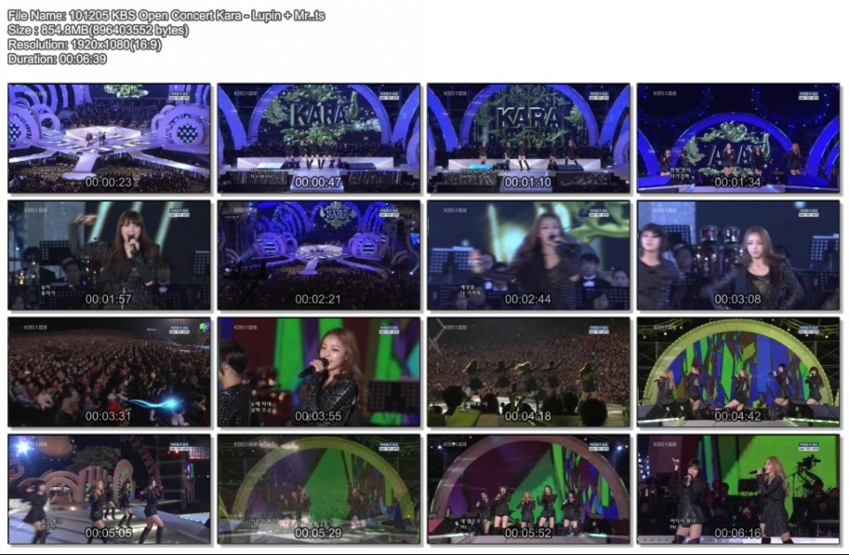 101205 KBS Open Concert Kara - Lupin   Mr..ts.jpg