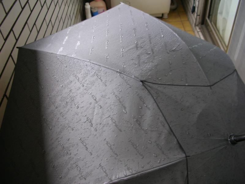 近一點，看出來了沒