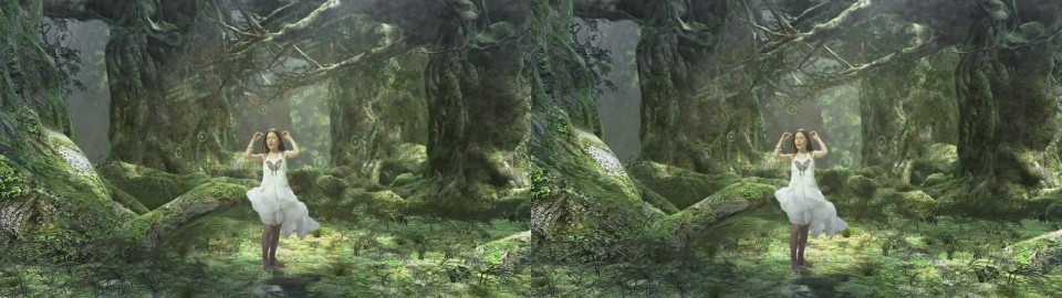 3D_MUSIC_VIDEO_SELECTION_VOL00.Title8.mp4_snapshot_01.14_[2010.12.29_11.35.58].jpg