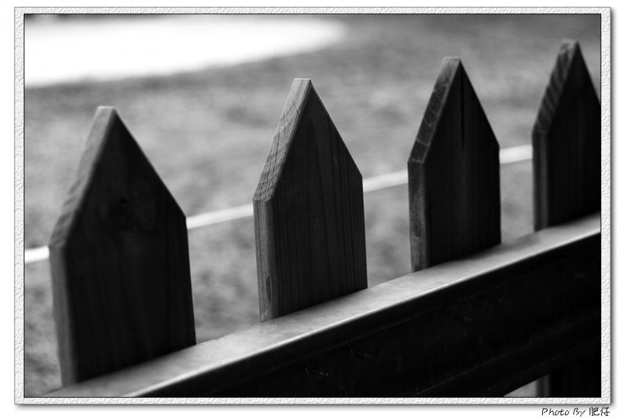 _MG_4650.jpg