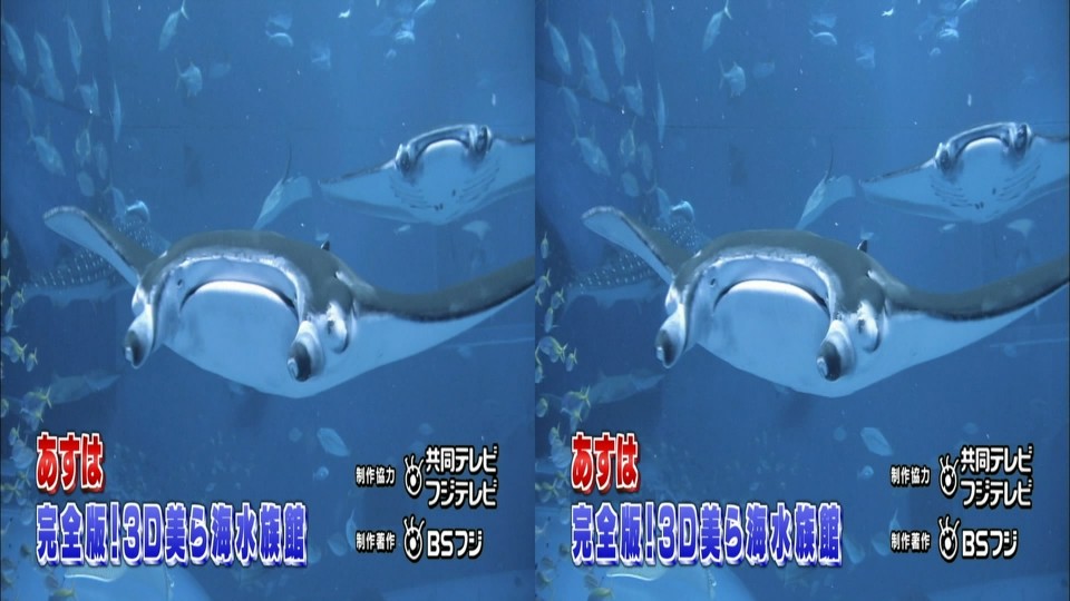00001.m2ts_snapshot_29.28_[2011.01.03_19.21.47].jpg