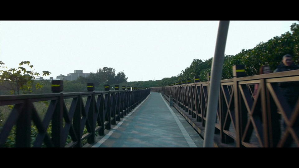 110102左岸05.jpg