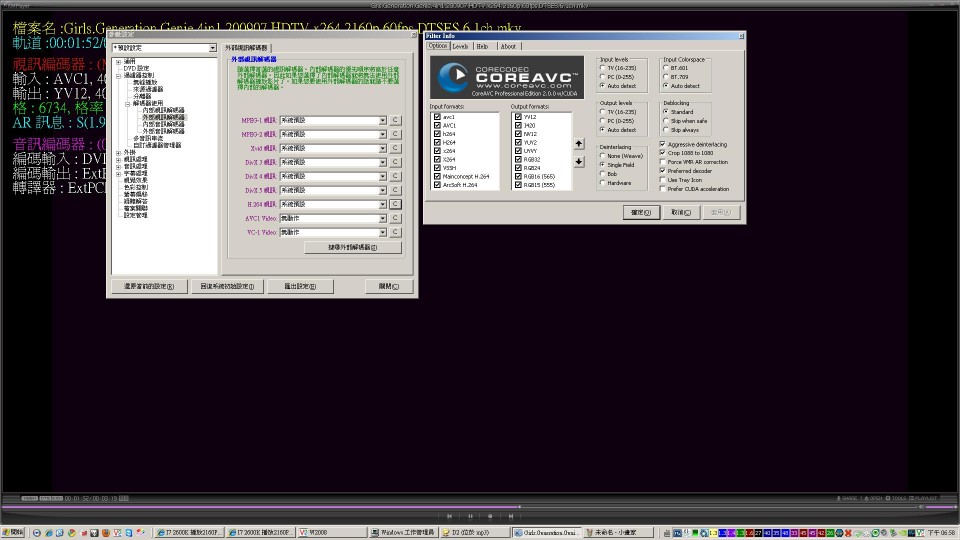 coreavc1.JPG