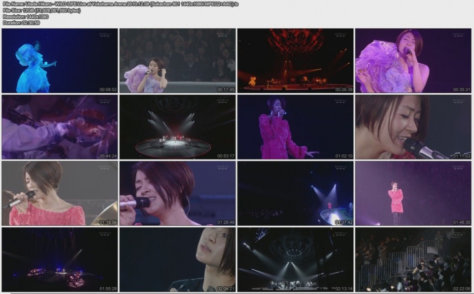 UtadaHikaru-WILDLIFELiveatYokohamaArena20101208Sukachan8011440x1080iMPEG2AAC.jpg