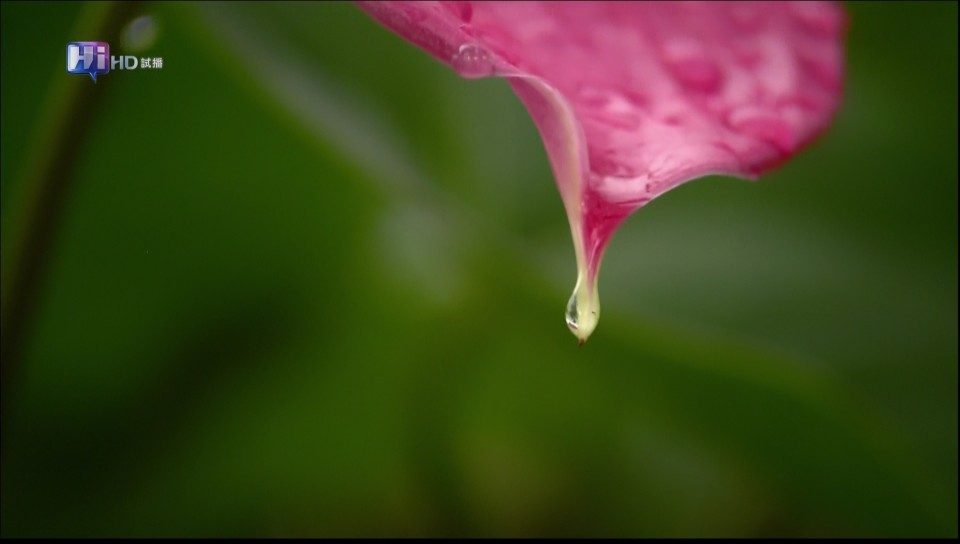 0215115312DVB-T公共電視 Hi_HD.jpg