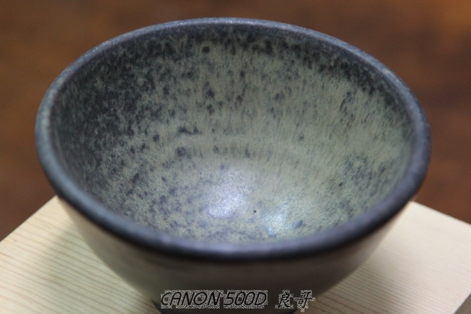 2011-0311_033.JPG