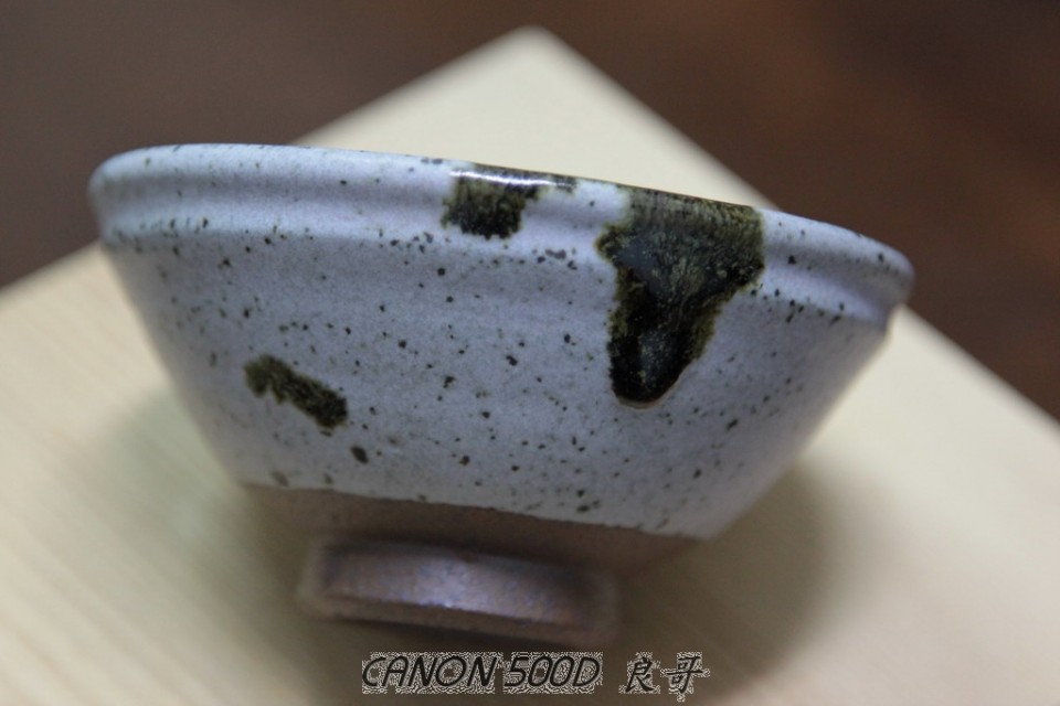 2011-0311_034.JPG