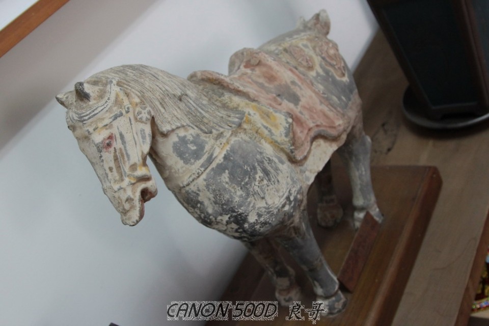 2011-0311_045.JPG