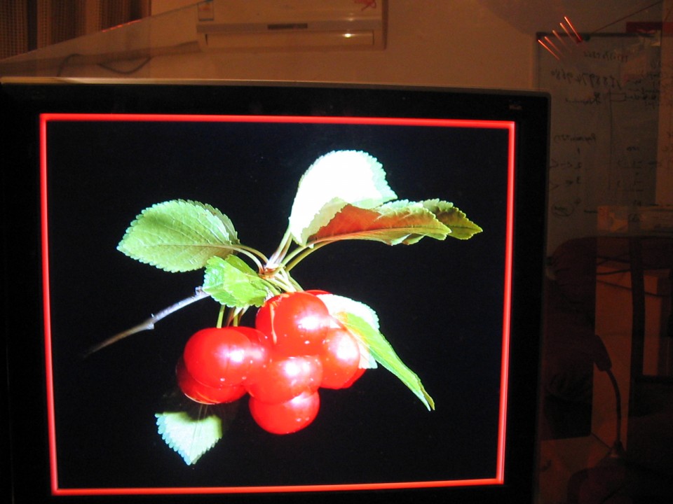 pic10.jpg