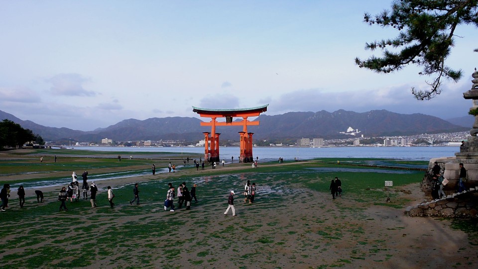 廣島宮島 (2).JPG