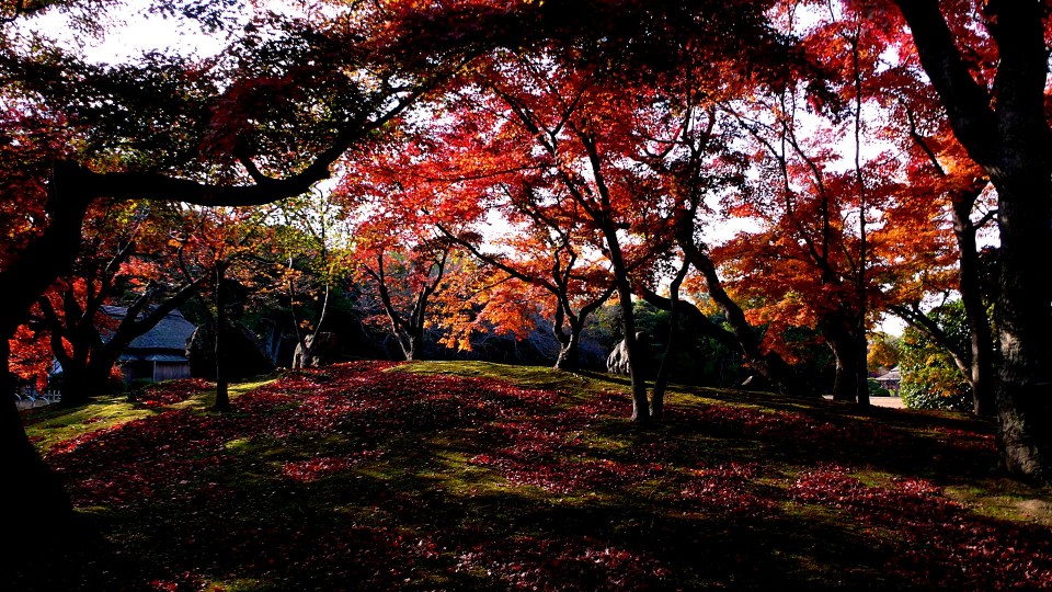 岡山後樂園 (1).JPG