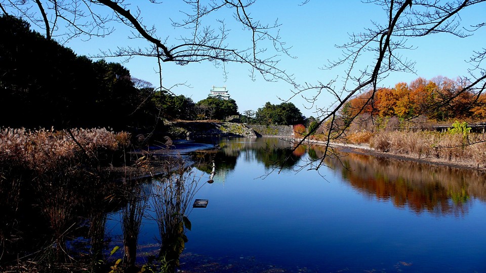 名古屋城.JPG