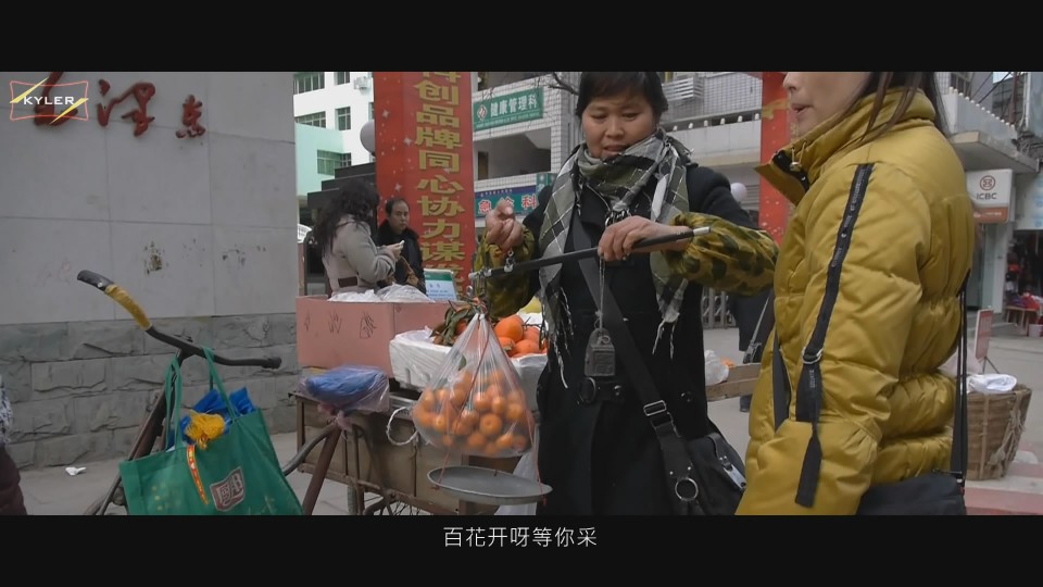 china steadicam.jpg