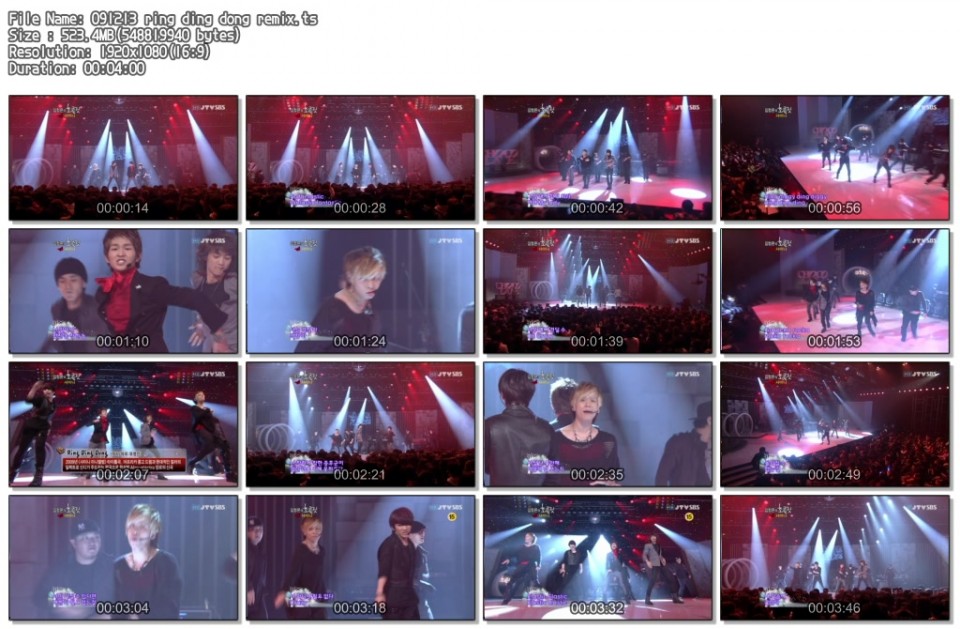 091213 ring ding dong remix.ts.jpg