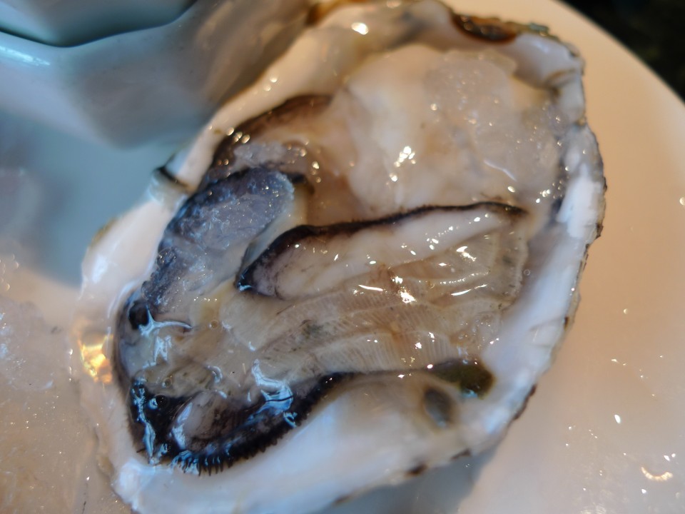 超大顆的蚵阿......