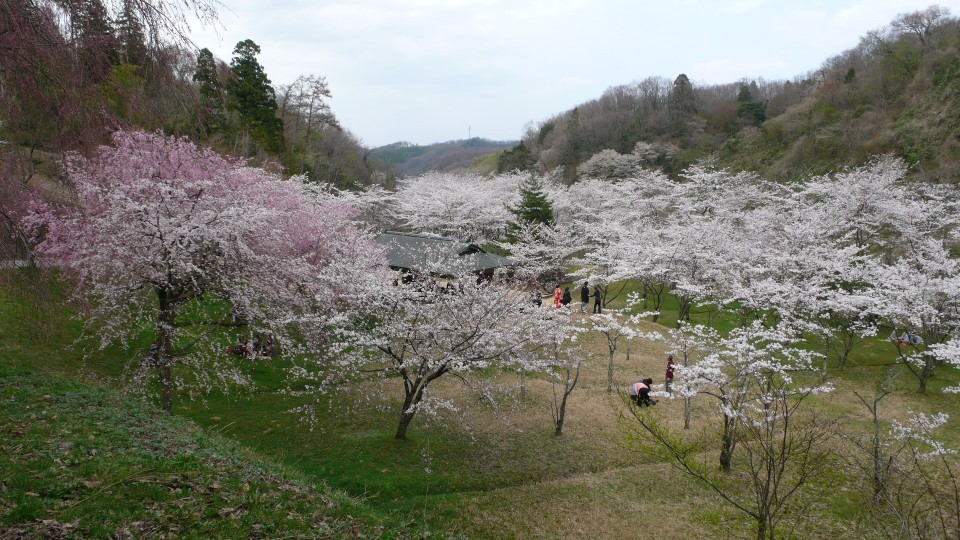 卯辰山公園