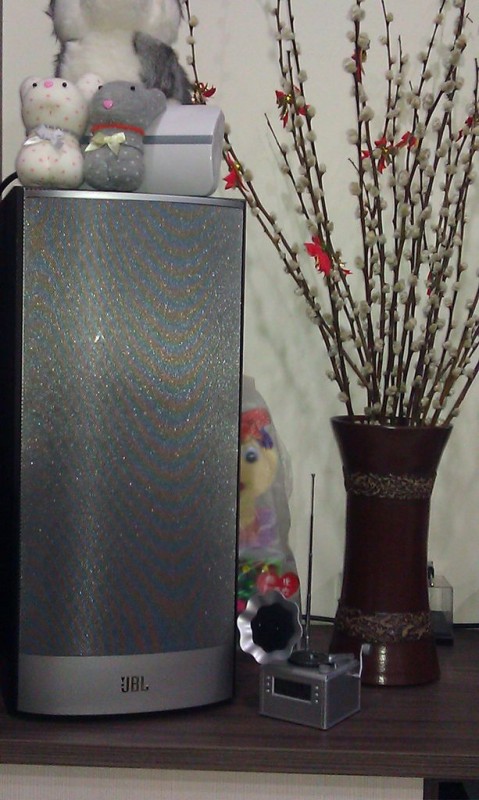 左聲道,喜歡他外面的金屬質感護罩,上面還有無線數位的天線