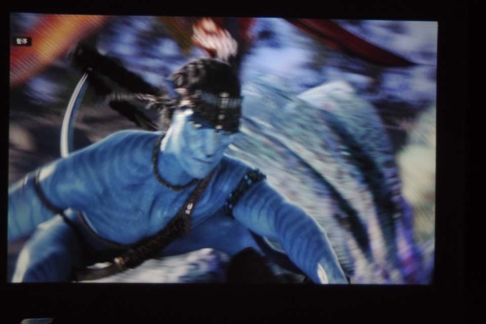 14.JPG