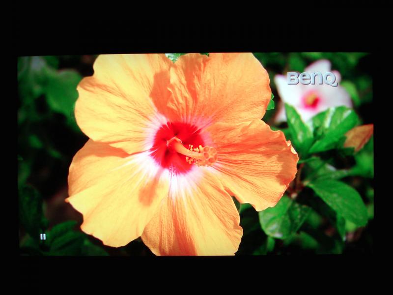 DSC01880 拷貝.jpg