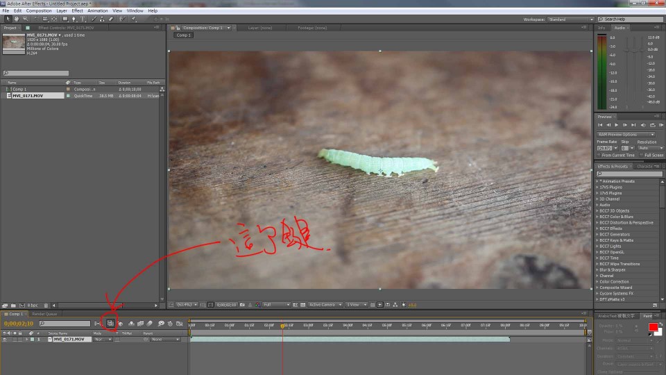 這是即時預覽按鈕