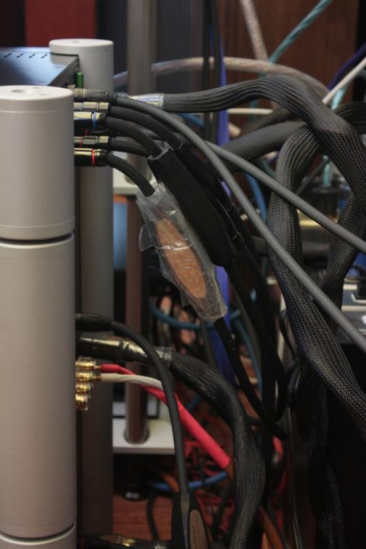 _MG_3725 (533 x 800).jpg