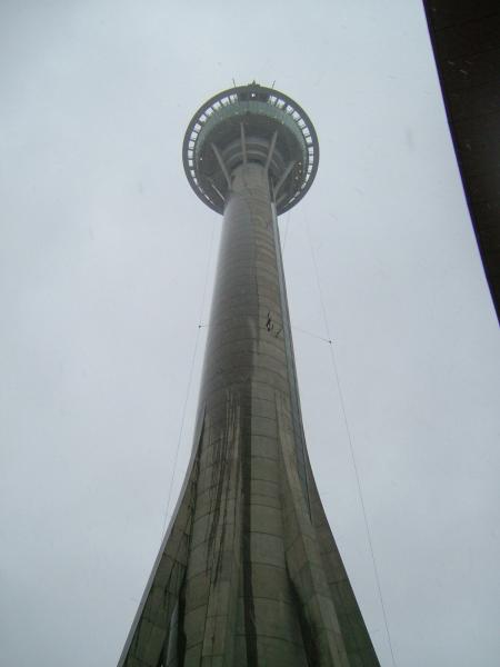 澳門旅遊塔 上面剛好有人跳下來 不是自殺 是高空彈跳 當地人叫笨豬跳 不是因為跳的人是笨豬 是直接翻bungy  ...