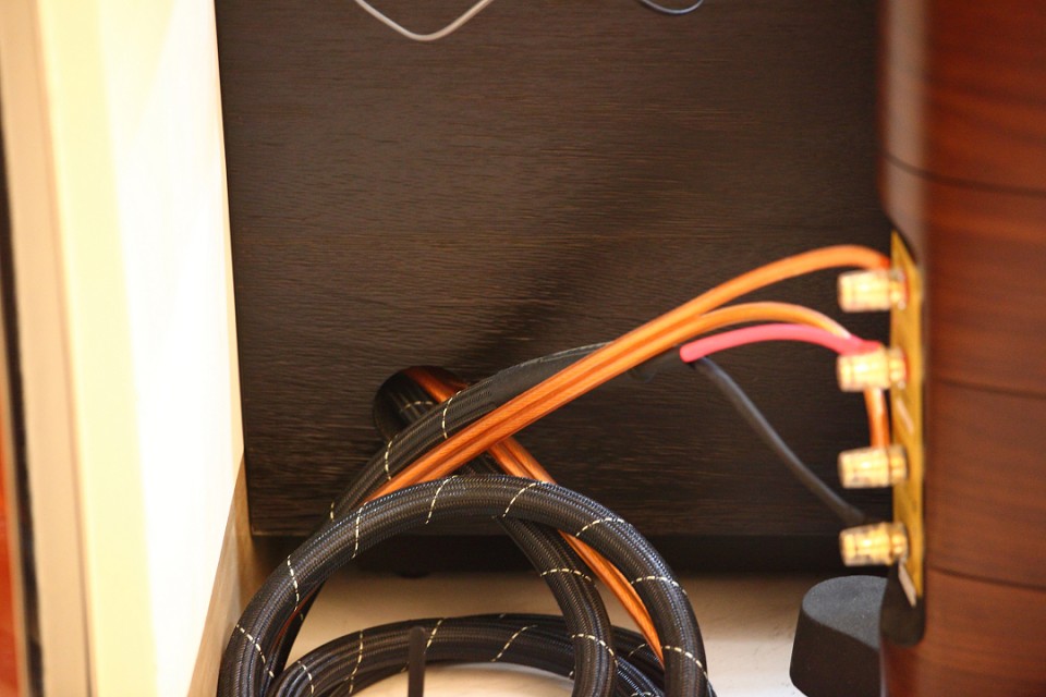 BI-WIRE.jpg