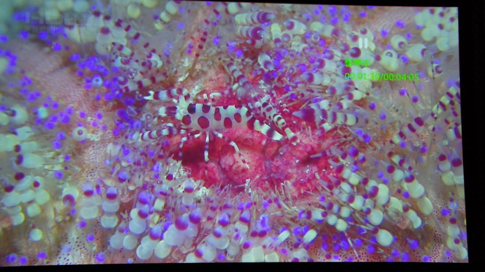 DSC01426_調整大小 .JPG