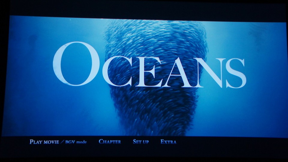 DSC01422_調整大小 .JPG