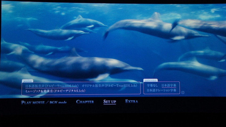 DSC01423_調整大小 .JPG