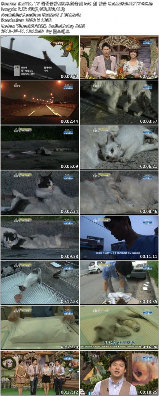 Kara 韓勝妍 - MC cut 2 ver 110731 SBS Animal Falm 動物農場.jpg