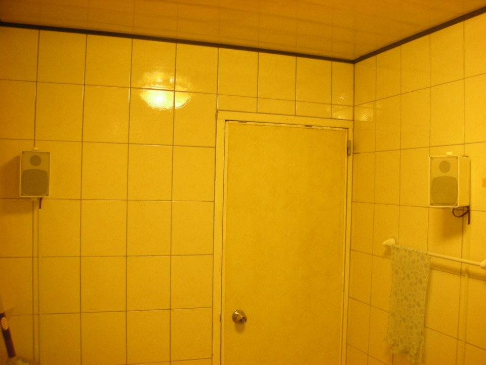 我的ZONE2使用台製防潮喇叭，聲音還不錯