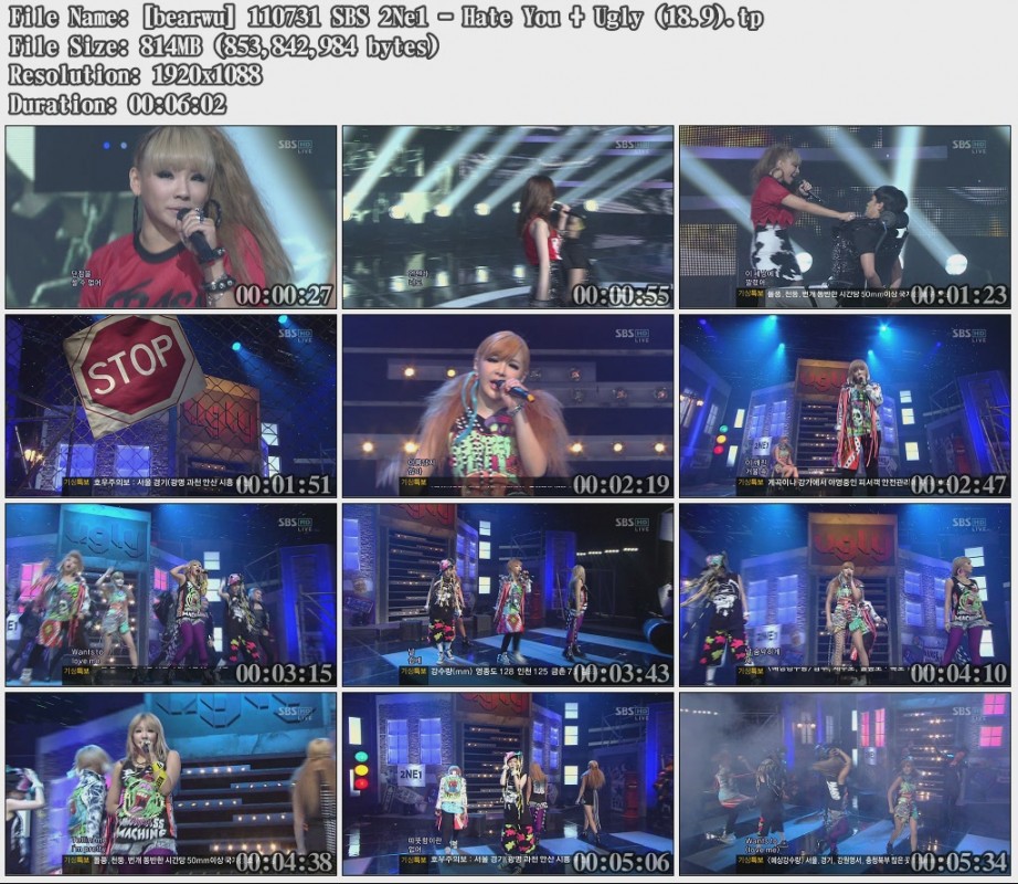 [bearwu] 110731 SBS 2Ne1 - Hate You   Ugly (18.9).jpg