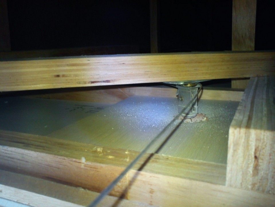 Net center 009.JPG