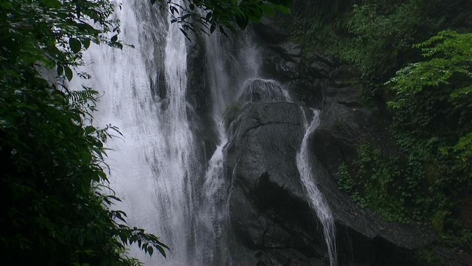 PDVD_001.JPG