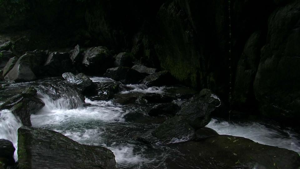 PDVD_003.JPG
