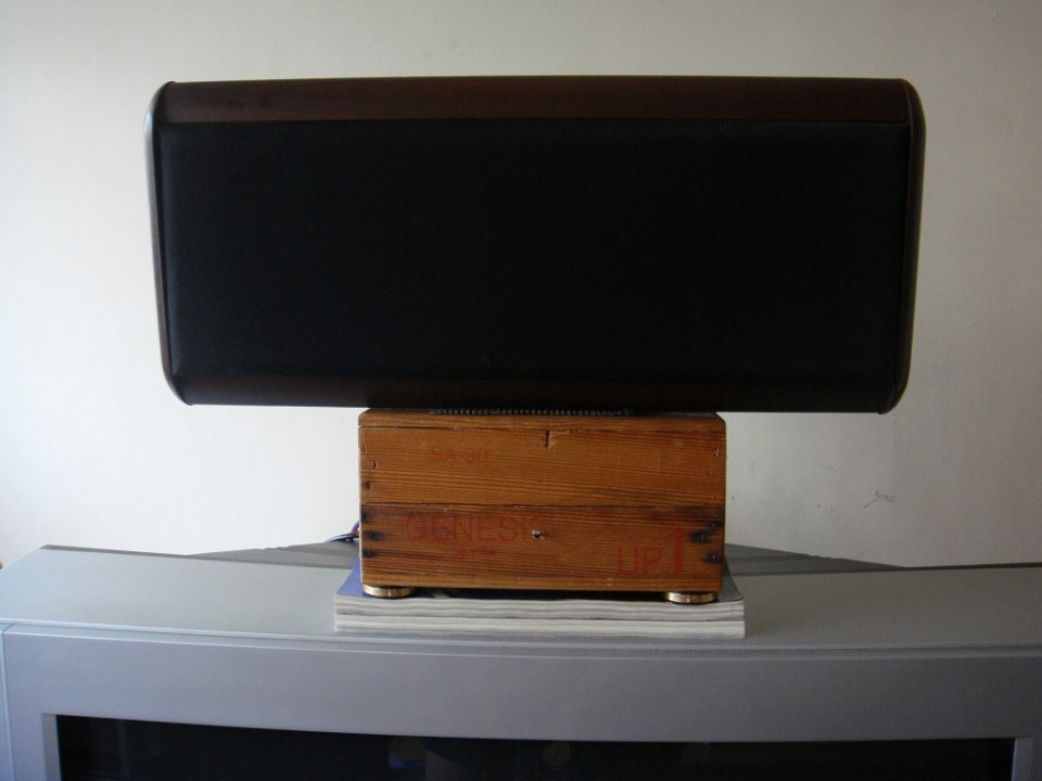 中聲道喇叭 加A.B類60W擴大機