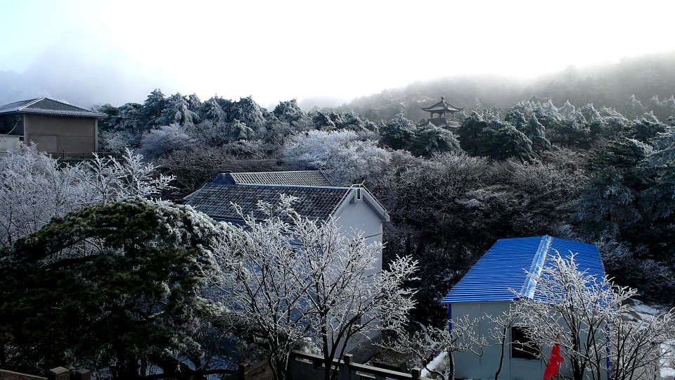 黃山天海霧淞
