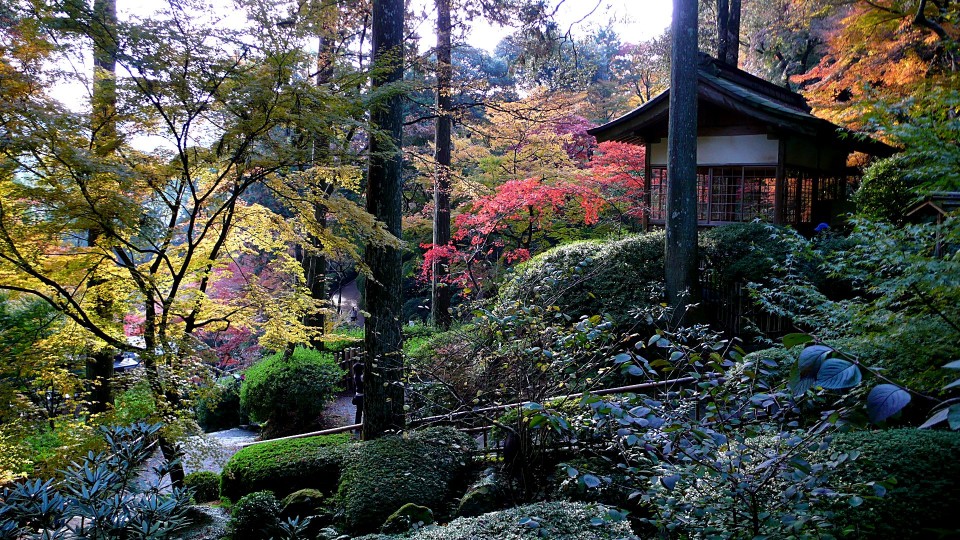 大興善寺