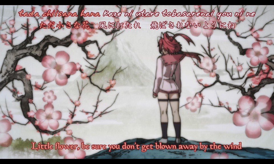 EVR(16-235).jpg