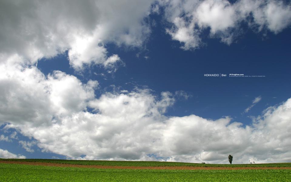 wallpaper011_1920x1200.jpg