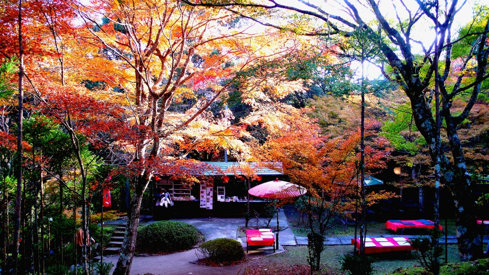 京都高雄山