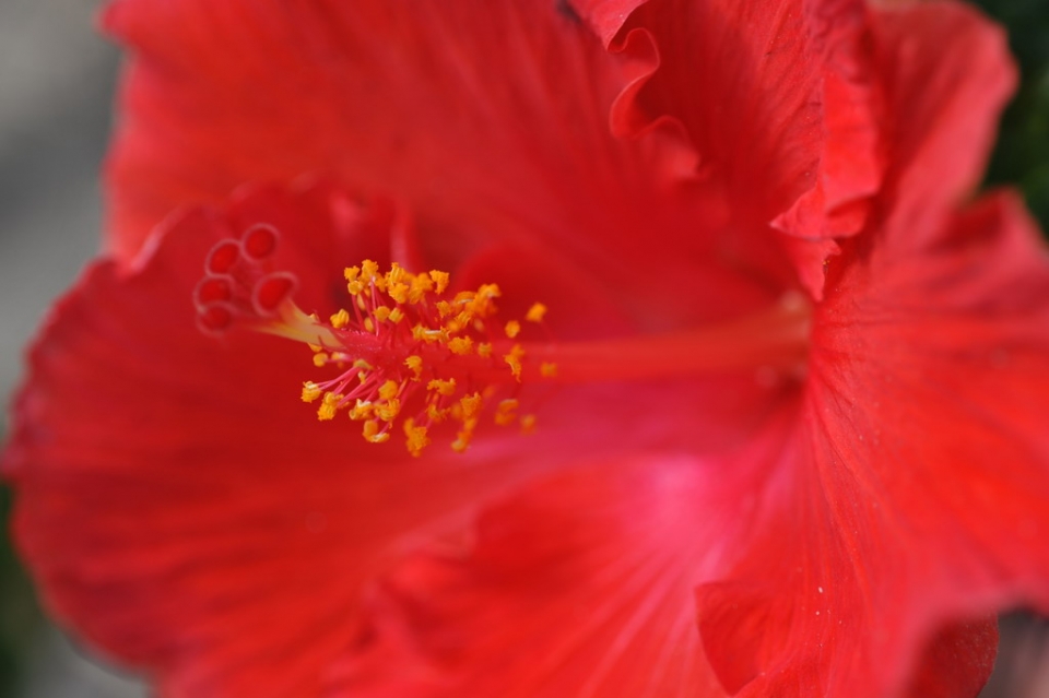 DSC_0008_調整大小 .JPG