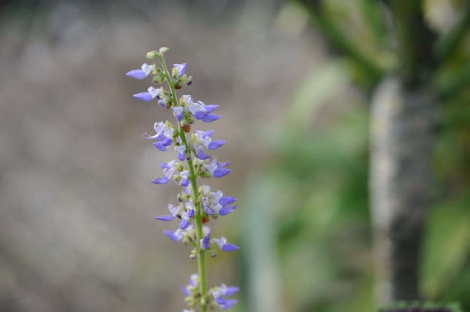 DSC_0004_調整大小 .JPG