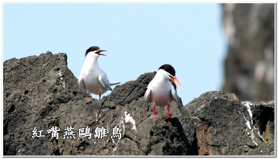 Image00012.jpg