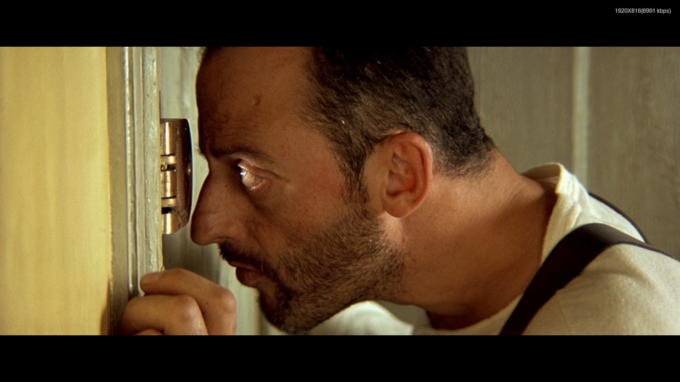 Leon_ML248H.jpg